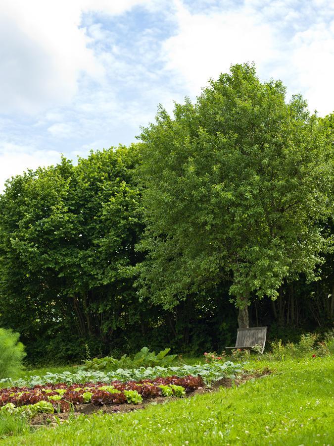 Biohotel Pausnhof (Adults Only) 圣奥斯瓦尔德 外观 照片
